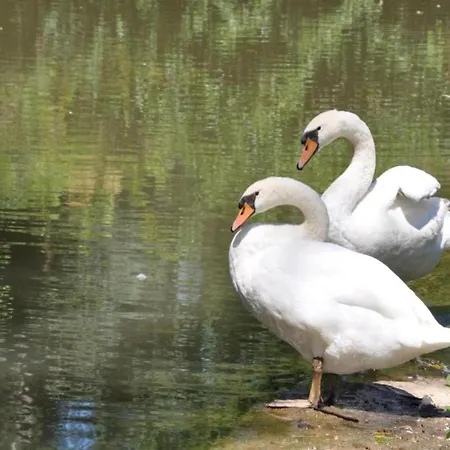 Villa In By Aveyron River